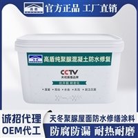 天冬聚脲 高性能防水材料的市場前景與價(jià)格解析